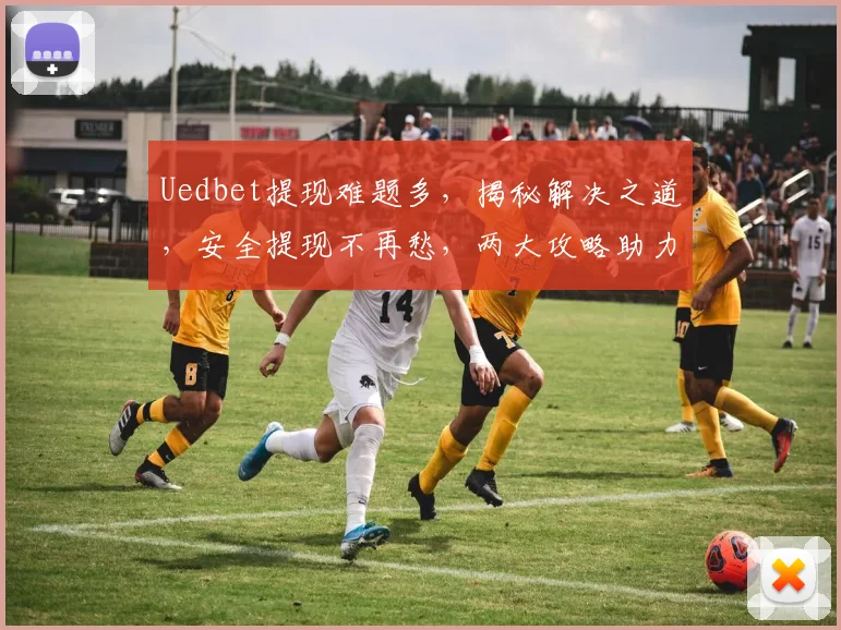 Uedbet提现难题多，揭秘解决之道，安全提现不再愁，两大攻略助力成功