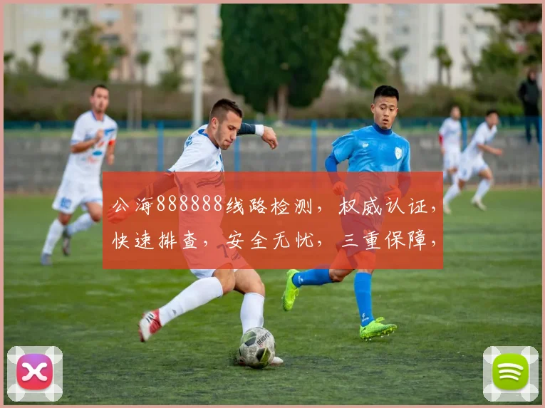 公海888888线路检测，权威认证，快速排查，安全无忧，三重保障，值得信赖