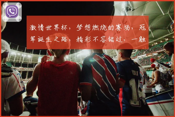 激情世界杯，梦想燃烧的赛场，冠军诞生之路，精彩不容错过，一触即发